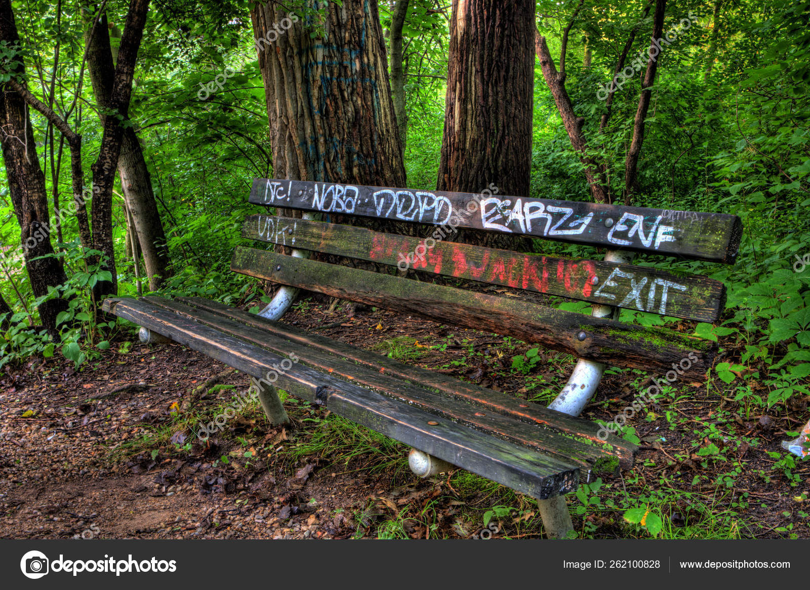 Graffiti Bench Woods High Dynamic Range Stock Photo C Yayimages