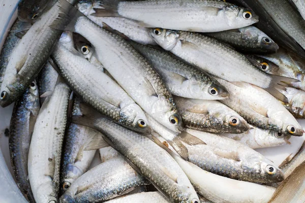 Pescado Fresco Caja — Foto de Stock