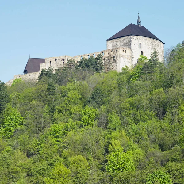 Castillo Tocnik República Checa — Foto de Stock