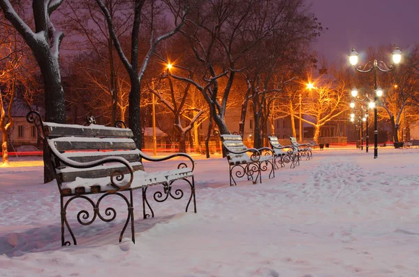 Ряд Лавок Парку Зимову Ніч — стокове фото