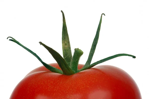 Tomate Isolado Sobre Fundo Branco — Fotografia de Stock