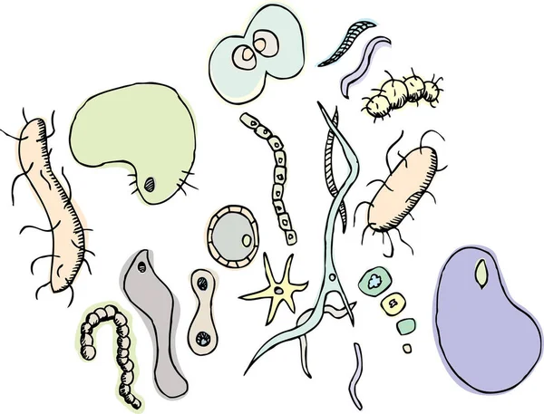 Sada Generických Bakterií Jeden Jednobuněčné Organismy — Stock fotografie