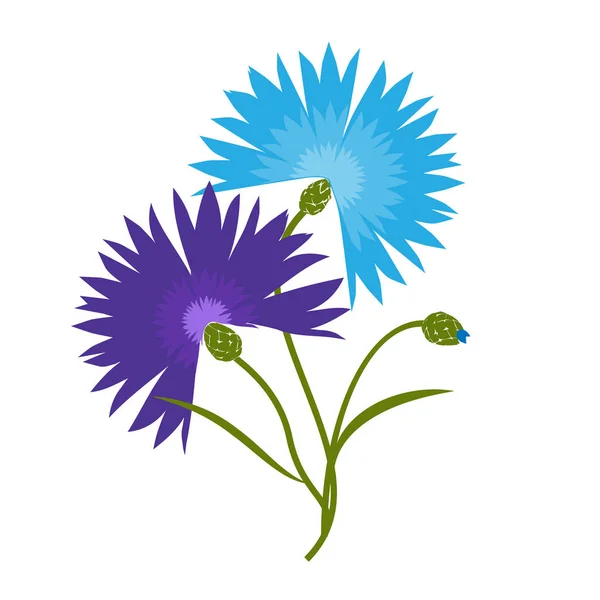 青い花のコーンフラワーは 白い背景に隔離されています 漫画ケンタウレアチアヌス — ストック写真