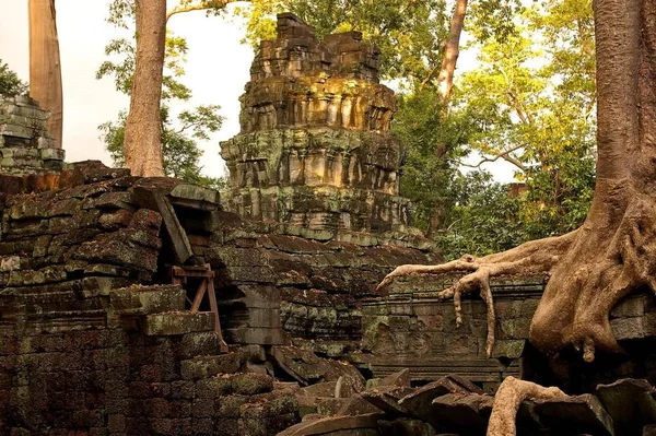 Árboles Entrelazados Con Las Ruinas Del Templo Bayon Siem Reap — Foto de Stock