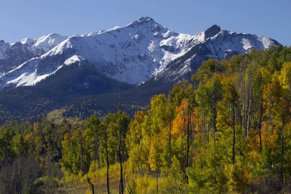 サンファン山脈の雪に覆われたピークと青い空に対する秋のアスペン色 — ストック写真