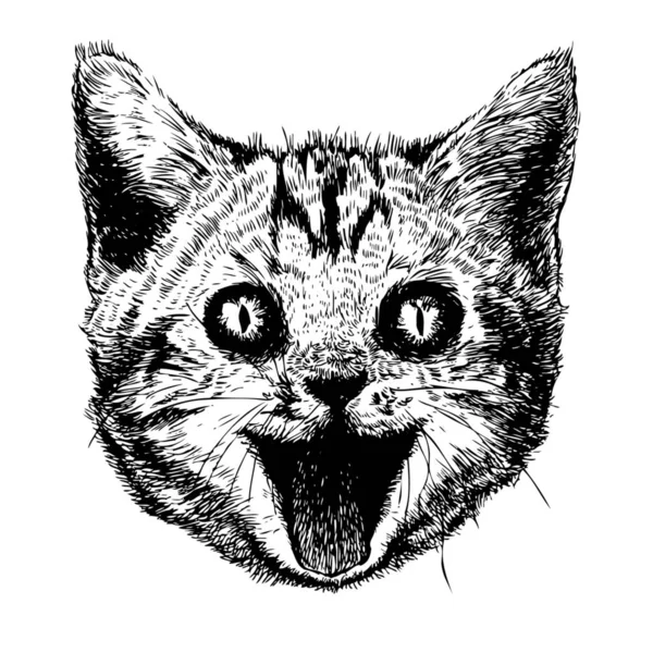 Freehand Sketch Illustration Of Angry Cat, Kitten Doodle Hand