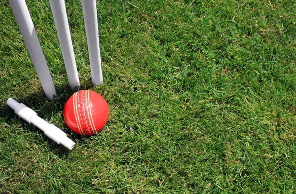 A red leather cricket ball lying in green grass at the base of three white wooden cricket stumps, and a cricket bail. Set on a landscape format.