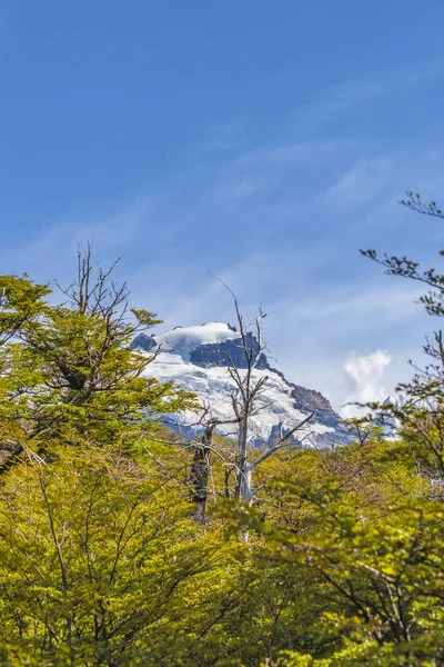 Patagonie Krajinné Scény Zasněžených Hor Jako Hlavní Předmět Argentina — Stock fotografie