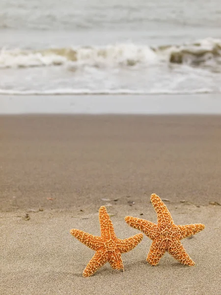 Twee Zeester Strandwal Met Golven Achtergrond — Stockfoto