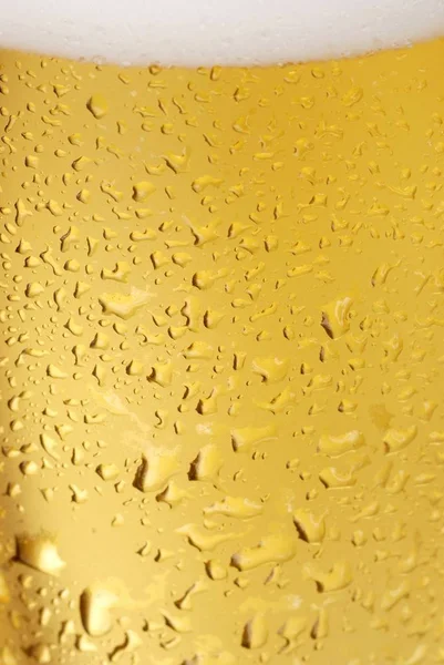 Glas Kaltes Bier — Stockfoto