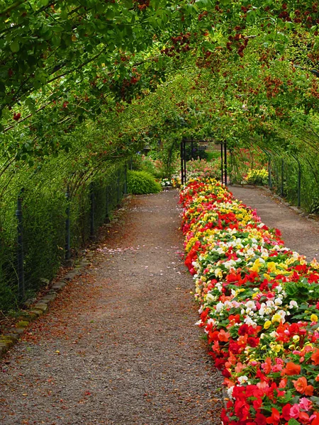 Una Fotografia Giardino Fiorito Situato Parco Pubblico — Foto Stock