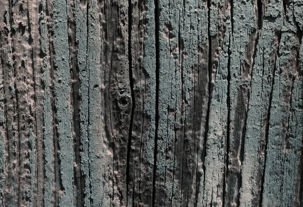Struttura Legno Colore Blu Uno Sfondo Bruciato Texture Linee Legno — Foto Stock