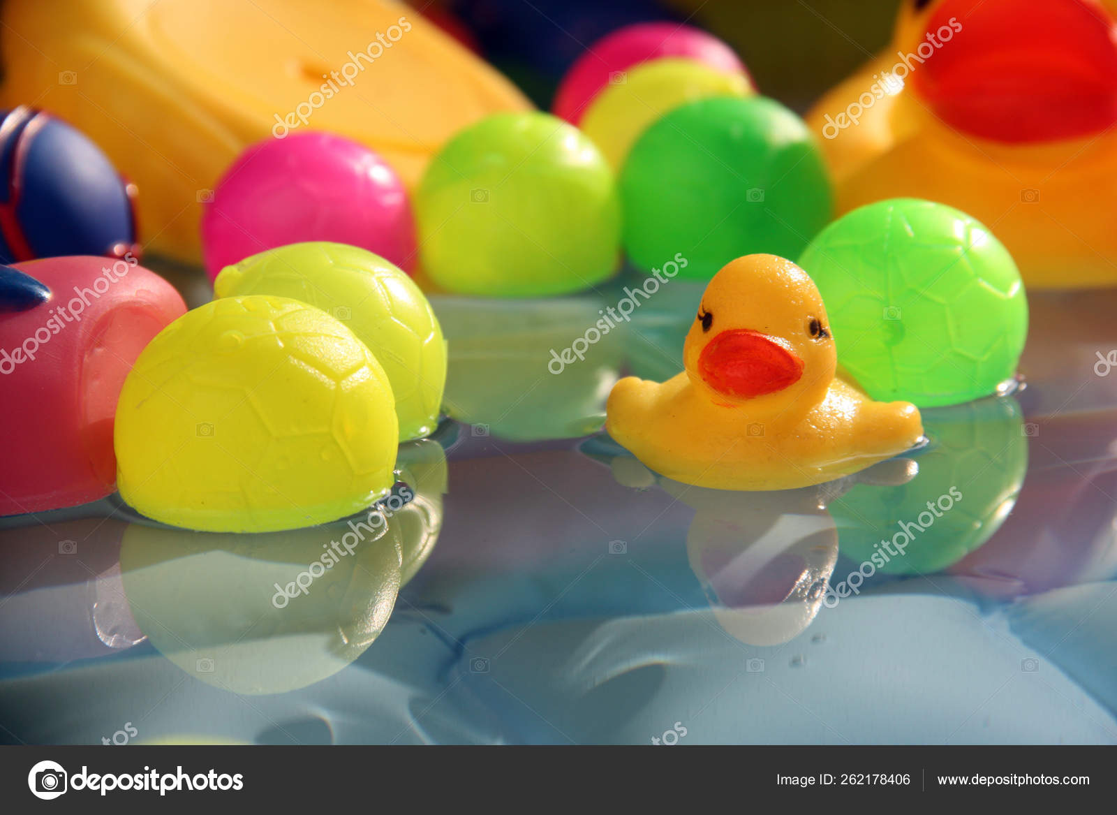 swimming duck toy
