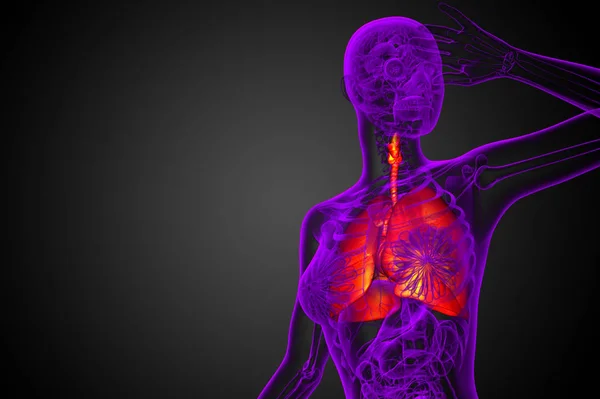 人工呼吸器システムの3Dレンダリングイラストレーション 正面図 — ストック写真