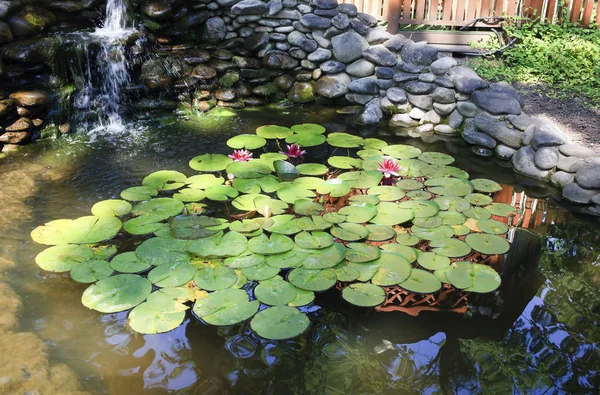 Summer View Large Garden Pond Red Lilies — Stock Photo, Image