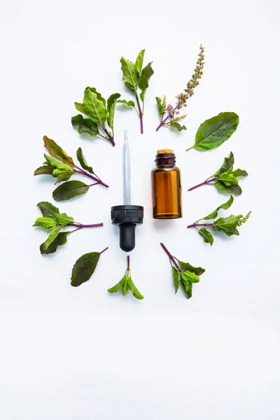 Holy Basil Essential Oil Glass Bottle Fresh Holy Basil — Stock Photo, Image