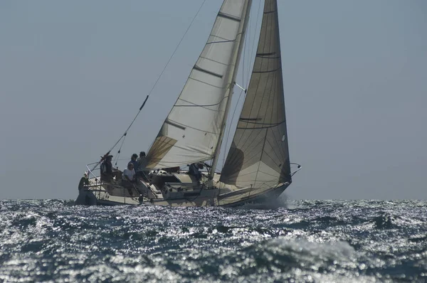 Besättningsmedlemmar Ombord Yacht Tävlar Team Segling Evenemang Kalifornien — Stockfoto