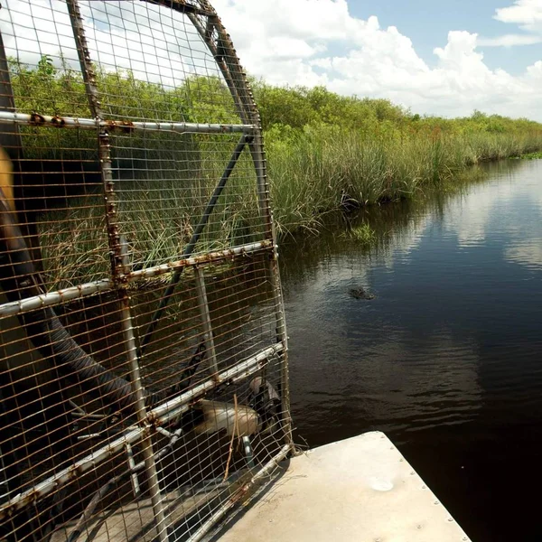 Everglade Scencis Florida Stati Uniti — Foto Stock