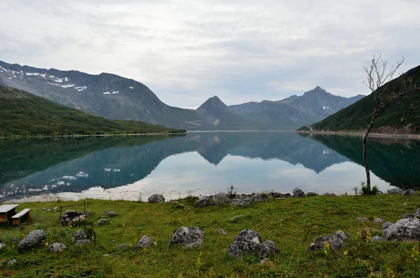 Klidný Fjord Obklopený Horami Létě — Stock fotografie