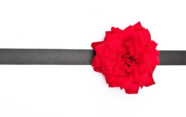 Червона Троянда Чорною Стрічкою — стокове фото