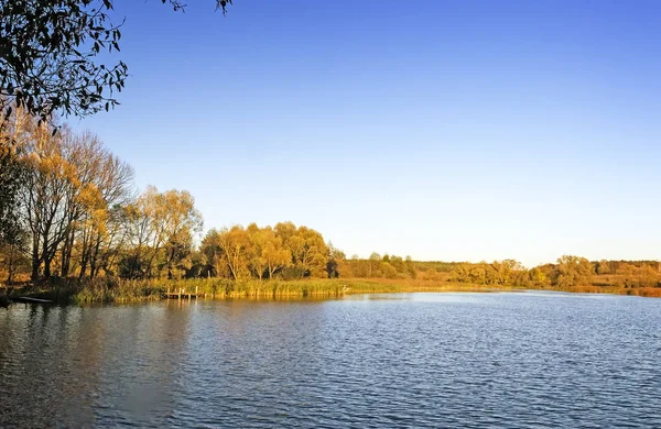 秋の風景 岸辺の木と美しい湖は 黄色の葉で覆われています — ストック写真