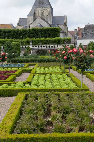 Tuinen Château Villandry Loirevallei Frankrijk — Stockfoto