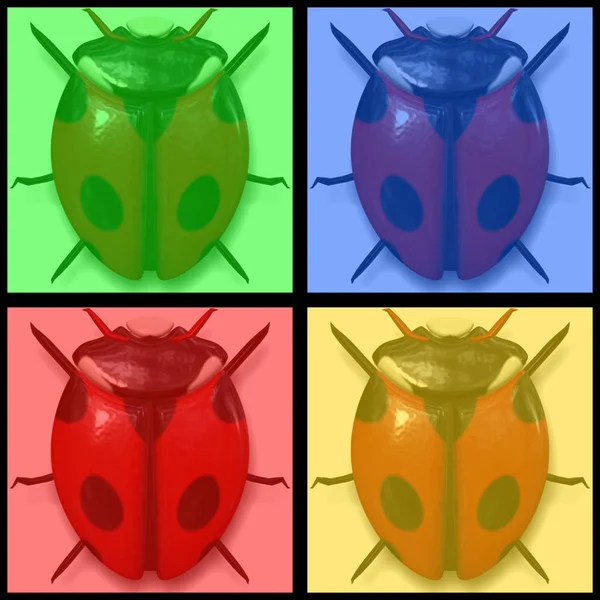 Lady Bird Beetle Color — Stock Photo, Image