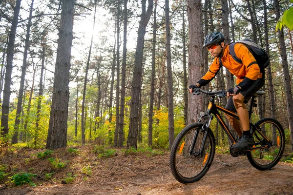 Kerékpáros Narancssárga Lovaglás Mountain Bike Nyomvonal Gyönyörű Tündér Fenyves Erdő — Stock Fotó