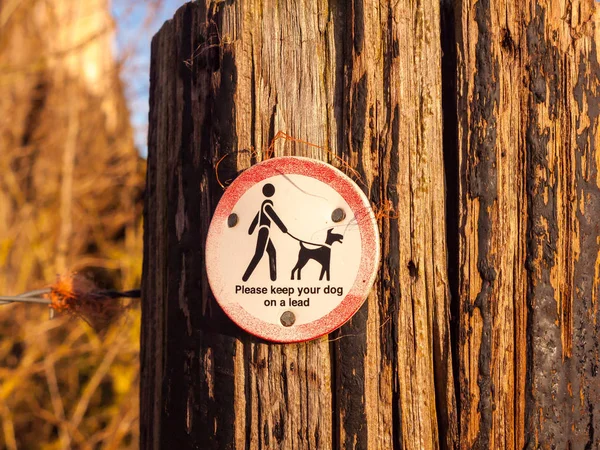 Público Caminando Letrero Madera Poste Perro Signo Por Favor Mantener — Foto de Stock