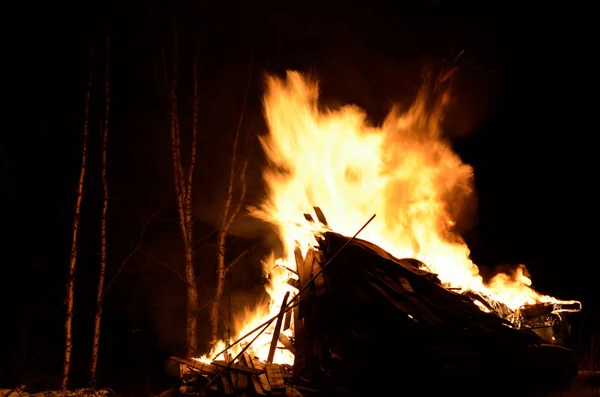 巨大的篝火在冬季夜的白木树森林 — 图库照片