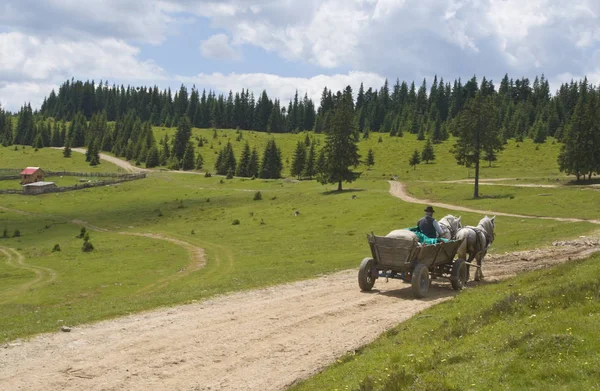 Cart Pulled Horses Mountain Road Location Apuseni Mountains Transylvania Romania — Stock Photo, Image