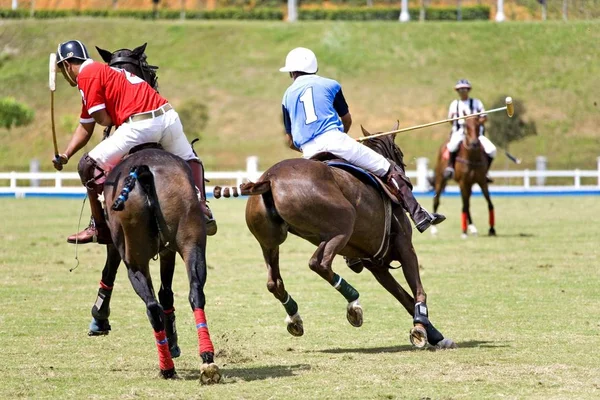Image of polo players in action.