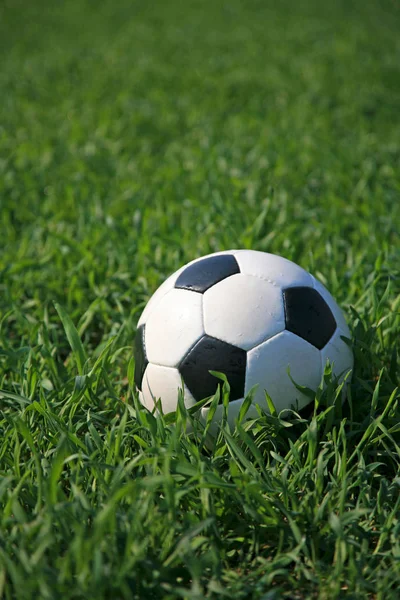 Das Bild Zeigt Einen Fußball Auf Dem Rasen Liegend — Stockfoto