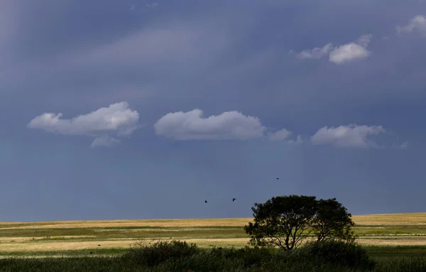 Burzowe Chmury Prairie Niebo Kanada Groźne Niebezpieczeństwo — Zdjęcie stockowe