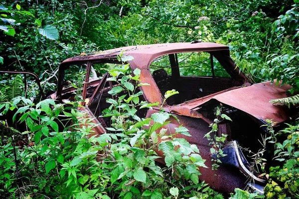 緑の低木の間の古い錆びたスケルトン車 — ストック写真