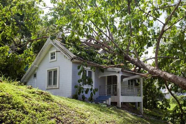 Falling Tree Hard Storm Damage House — Stock Photo, Image