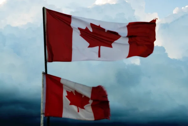 Två Kanadensiska Flaggor Sköt Mot Molnig Himmel — Stockfoto
