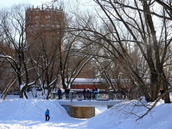 Moscova Rusia Februarie 2010 Ziua Iarnă Popoarele Plimbă Lângă Fort — Fotografie, imagine de stoc