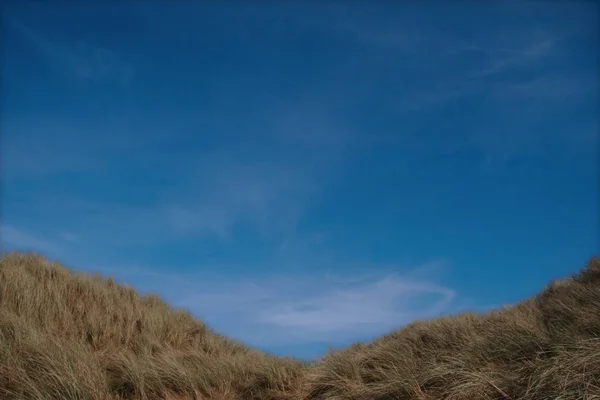 Tall Grass Sand Dunes West Coast Ireland — Stock Photo, Image