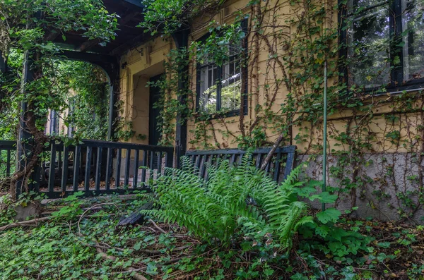 Façade Envahie Dans Une Villa Dans Les Bois — Photo