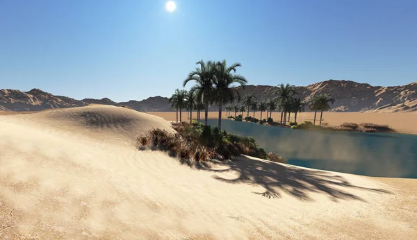 소프트웨어에서 사막에서 오아시스 — 스톡 사진