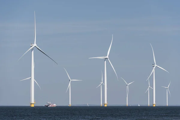 风电场在荷兰圩田海岸水中 — 图库照片