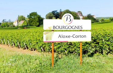 vineyards of Aloxe-Corton, Burgundy, France clipart