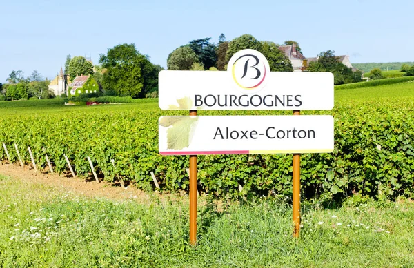 Виноградники Aloxe Corton Бургундия Франция — стоковое фото