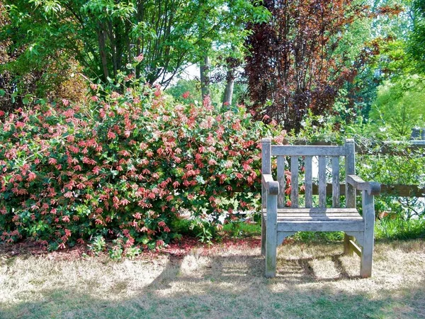 Atlantas Botaniska Trädgård Våren — Stockfoto