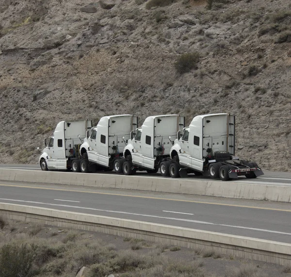 4辆驼峰卡车牵引 — 图库照片