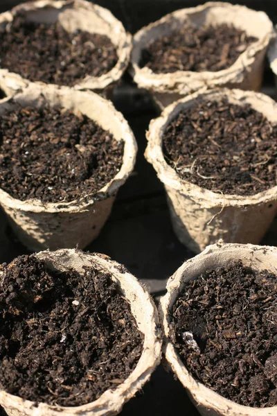 Detail Sady Recyklovaných Papírových Rostlin Semenných Nádob Kompostu Uvnitř Připravené — Stock fotografie
