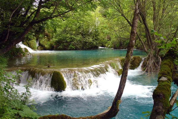 Petite Cascade Sur Les Lacs Plitvice Croatie — Photo