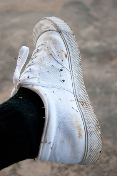 Dirty White Shoe Mud Burdock — Stock Photo, Image