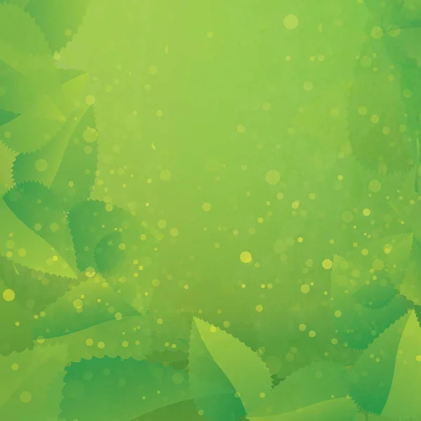 Frische Grüne Blätter Auf Dem Hintergrund — Stockfoto